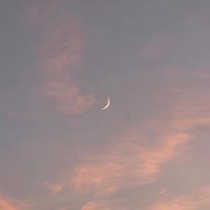 男Ji大巴进入女人免费视频
